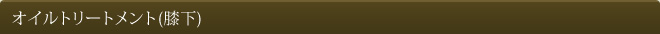 オイルトリートメント(膝下)